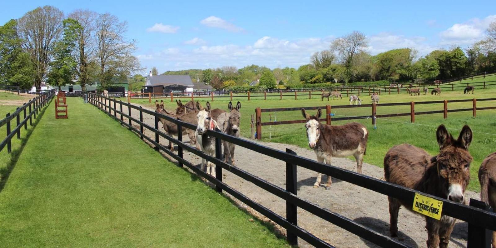 Charleville Park Hotel & Leisure Club Ireland Exteriör bild